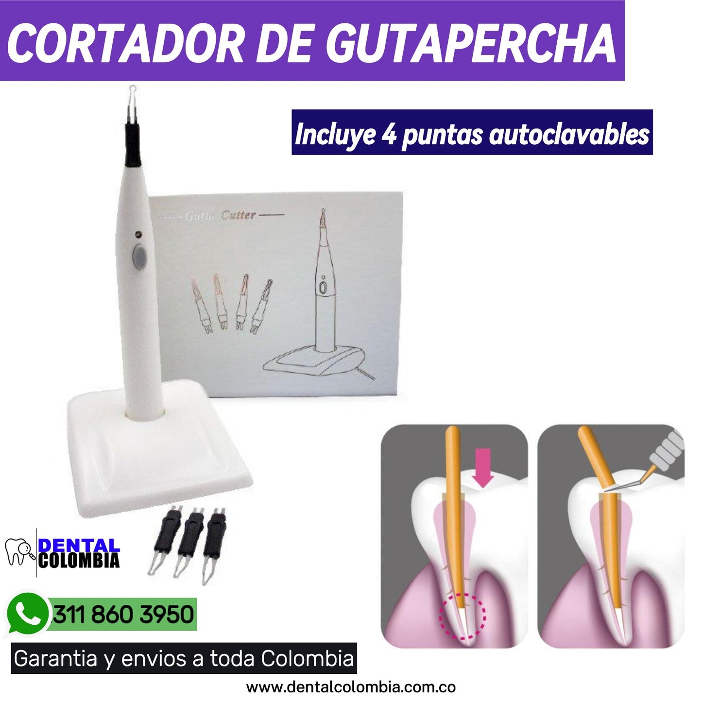 CORTADOR DE GUTAPERCHA