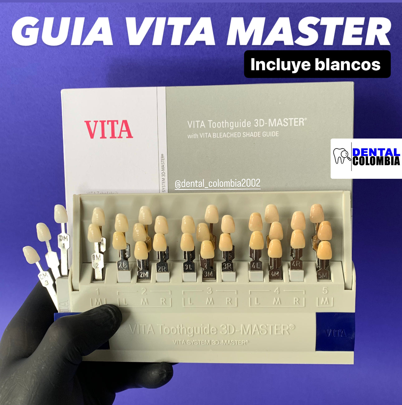 GUIA VITA MASTER 3D