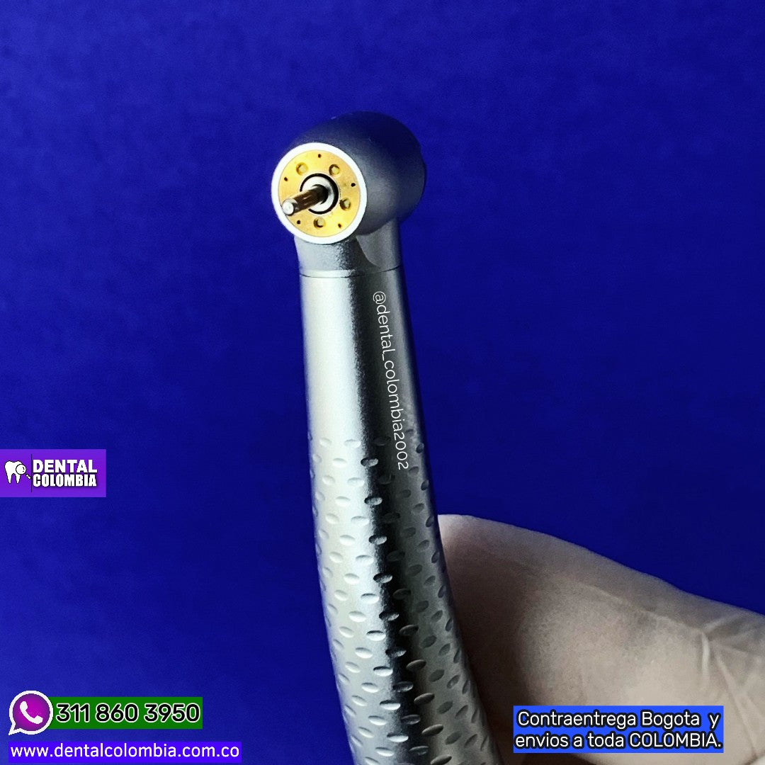 PIEZA DE ALTA SYNEA oLED